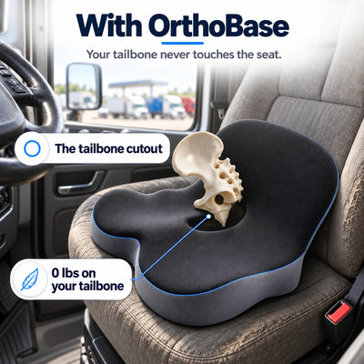 OrthoBase
