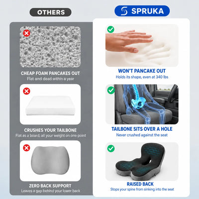 OrthoBase