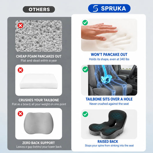OrthoBase